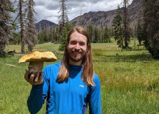 mushroom mushroom