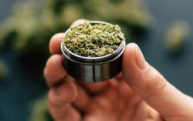 https://lanmaoasiatica.com/wp-content/uploads/2019/01/events_2_home_04-640x403.jpg