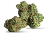 Black Jack