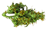 Cherry AK