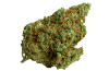 Sour OG
