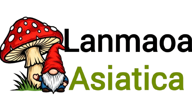 lanmaoasiatica.com