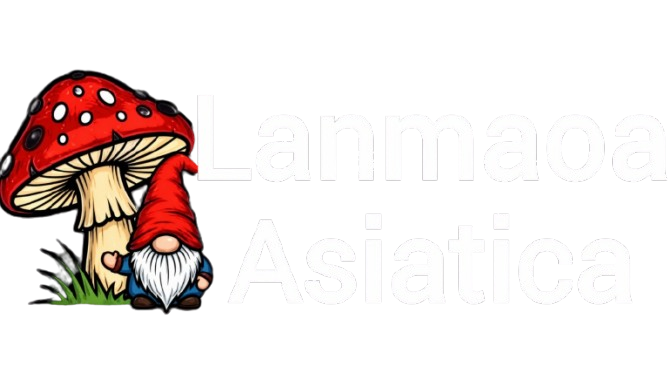 lanmaoasiatica.com